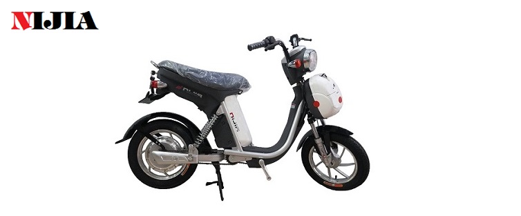 Xe đạp điện Nijia 2014 chính hãng nhập khẩu
